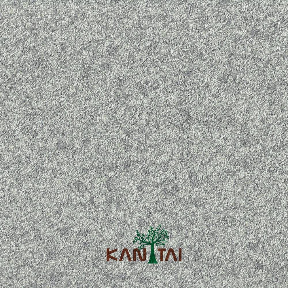 PT500102